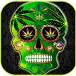 skull weed live wallpaper android application logo